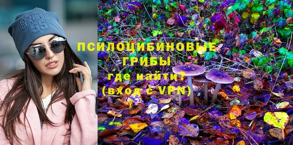 Альфа ПВП Балабаново