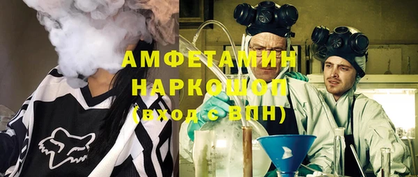 шишки Пестово