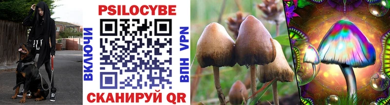 гидра ссылка  Северо-Курильск  Псилоцибиновые грибы Cubensis  купить наркотик 